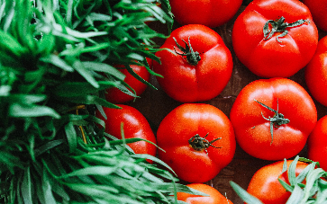 西红柿烤罗非鱼——来自国家心脏、肺和血液研究所有益心脏健康的食谱