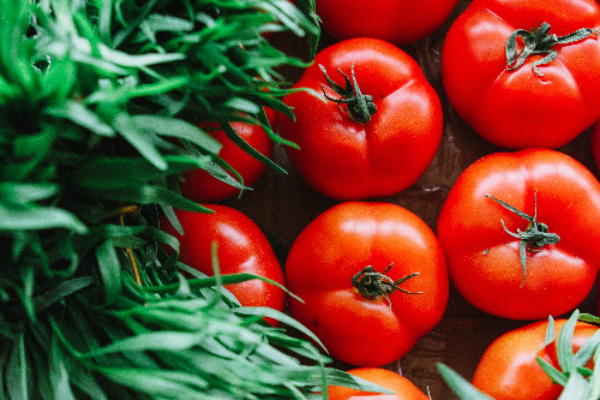西红柿烤罗非鱼——来自国家心脏、肺和血液研究所有益心脏健康的食谱
